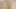 Güçlü kıvrımlı minyon, üst düzey güzellik tutkulu dölleme karşılaşma anı 2.