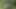 Funsize gençler - pokemon olarak minyon bir kostümlü açık havada sikiliyor