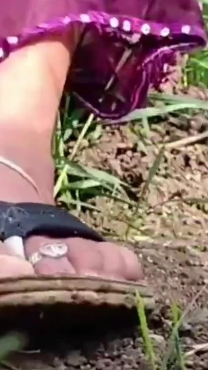 Açık havada tarlalarda, üvey kız kardeşim amcığında götünü parmaklıyor, yarak ereksiyon halinde, yırtılan amcığı görüyor. | Klip 1