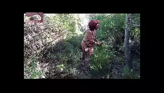 Ormanda domine ediliyor 3
