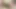 Yakalanan götlü kadın sahne 3_sexy esmer parmaklarını külota sokuyor