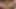 18yo ayden james anüsten ekler parmaklar önce cumming solo