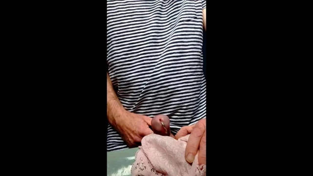 36c askılar sutyen yavaş hareket Cuming