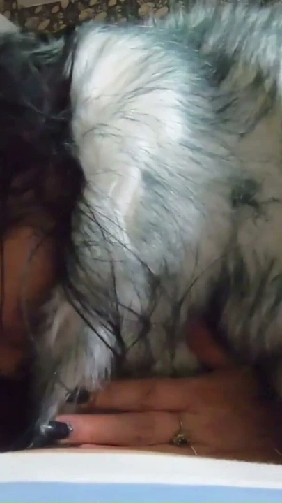 Fur Obsession Continues POV - Çıplak Ellerle El İşi, Derin Oral ve Kürküme Boşalma | Bölüm 1