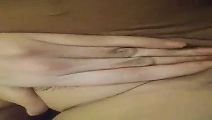 Yakın çekim benim kedi doldurma