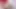Daisy Ducati ve Nathan Bronson - Daisy götünü tehlikeye atıyor