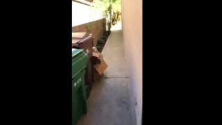 Kız arkadaşımla komşularımın arka bahçesinde riskli seks