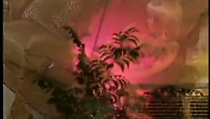 Büyük göğüslü sarışın bebek parmakları ona sıkı kedi ile büyük yapay penis