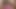 Slutty karma eğitim yapan chantelle içinde bir üçlü