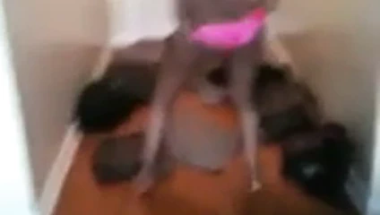 ganimet sallama striptizci