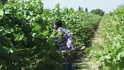 Bazı edepsiz sürtükler kamp yapan bir minibüste yarak emiyor ve sikişiyor