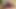 Büyük memeli sarışın orta yaşlı seksi kadın büyük zenci yarağını domaltarak alıyor
