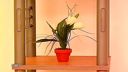 "Şikayet etme, sadece sikimizi em" ona çığlık atıyorlar