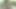 Yalnız sarışın Nika Nut 4k'da bahçede mastürbasyon yapıyor.