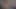 Patronunu seven bir yardımcı