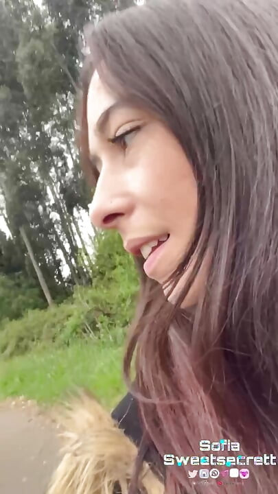 Bir fanın kontrolünde etkileşimli anal fiş ile parkın içinden