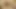 Digitalplayground - ev yıkıcı 4 film fragmanı