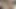 amatör sürtük ev yapımı porno 182