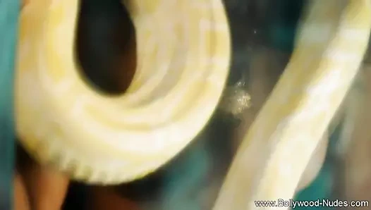 Erotik dans eden prenses bazı seksi eşek hareketini tekrar gösteriyor