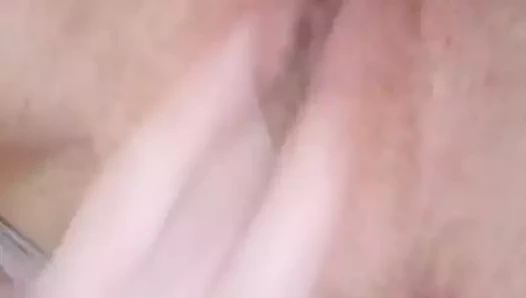 Kedi evde yalnız oynuyor