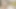 Dev cumshot üzerinde ts kız arkadaş sonra oral seks ve köpek sikme