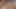 Üvey kız kardeşimle porno izliyorum. Amına dokunmama izin verdi. Sonra ne oldu?