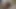 karısı yapay penis içinde kıllı KEDİ