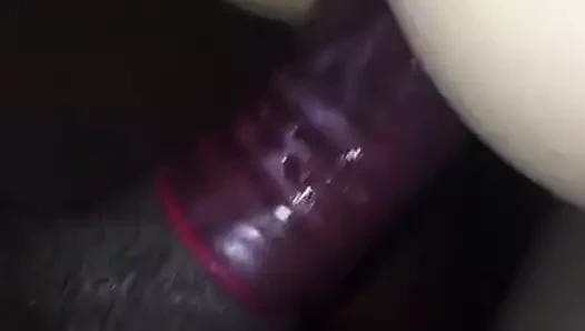 Fcuking bazı iyi kedi