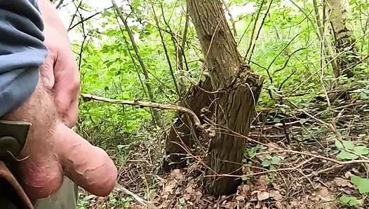 Ormanda işiyorum ve yutan bir domuz çişimi yutuyor