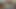 Twitter'da vücut gösterme