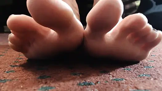 Cilalı toynağı gösteriyor