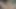 Hintli Müslüman güzel Hintli ateşli seks videosu