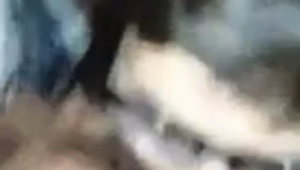 Birçok umutsuz musluklar vs çaylak horoz enayi