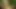 Wald- und Wiesensex