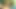 Olgun çift dildo oynuyor amcık sikiyor 69 pozisyonunda amcık yalıyor