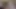 Azgın yua ariga emiyor ve birden fazla şekilde sikiliyor