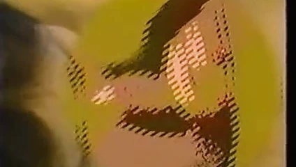 Japonya yetişkin video 1988'den