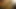 gif LUDIVINE SAGNIER