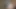 Onu ormanda sikmeye başladım ve sonra yatakta devam ettim! POV
