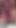 Pussy Throbbing,  Open and Pees. Nice Pissing Pussy. Close-UP. | Clip 1