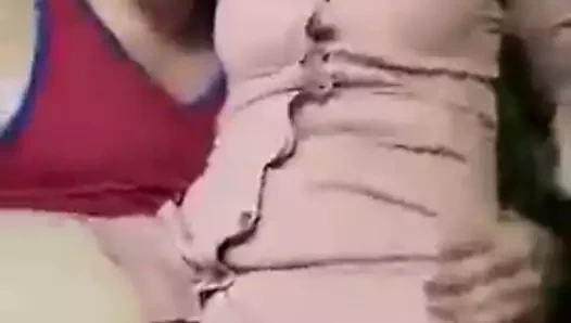 benim küçük midillim