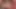Yaşlı ve genç seksi sarışın minyon kıllı amcık yalıyor