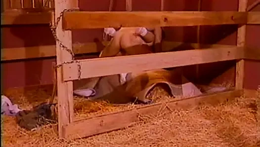 Kimberly kane seksi hemşireler görev başında