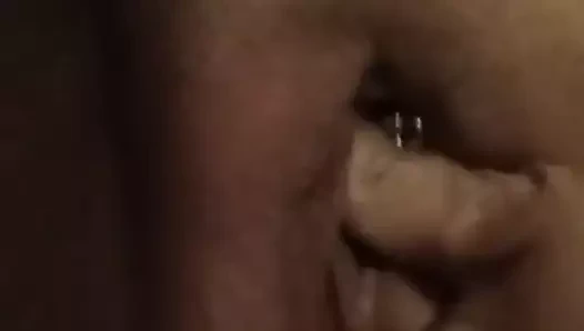 Lisa parmak ona şişman kedi