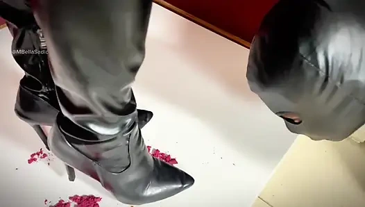 Kutudaki şekeri kim yedi