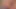Kali Roses, bella rolland ve brooke banner canlı bir altın şovda birbirlerinin amını yalıyor