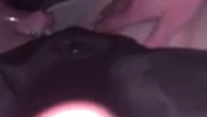 hazırlanıyor onu amcık