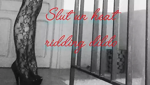 anal yapay penis binme