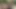 Ateşli çift şafakta kuş sesine kadar seks yapıyor.