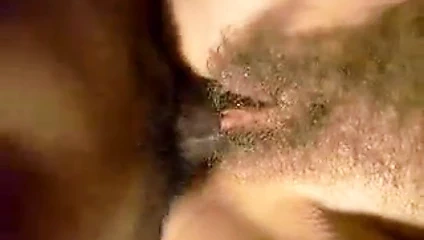 Kedi eş bbc kıllı